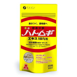 t@C ̃ngMGLX100% 300 30