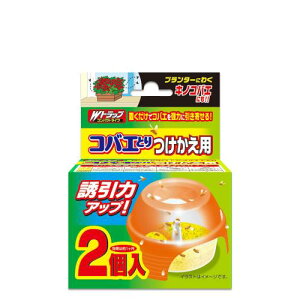 Wgbv RoGƂ RpNg^Cv p2 ʖ1