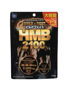 EGlXCtTCGX rht@Cg HMB2100 eʃpbN 240