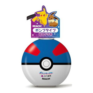 [`LbY|v ݂ 250g Ԃǂ 813752