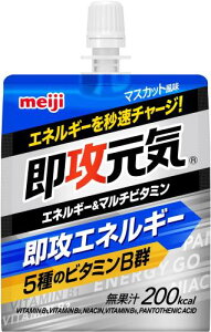 ���U���C�[���[ �G�l���M�[�}���`�r�^�~�� �}�X�J�b�g���� 180g