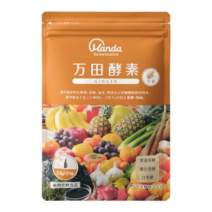 万田酵素 ペーストタイプ GINGER ジンジャー 分包 77.5g (2.5g×31包)