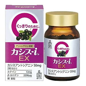 �X���m�O �J�V�X-I EX 60��(��20����)