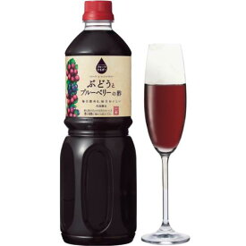 内堀醸造 フルーツビネガー 1L ぶどうとブルーベリーの酢 飲むお酢 ぶどう ブルーベリー 果実酢 無糖 ジュース 希釈用 ペットボトル 1本 日本