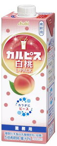�A�T�q���� �u�J���s�X�v ����L�p�b�N ���e�� 1000ml ×6�{