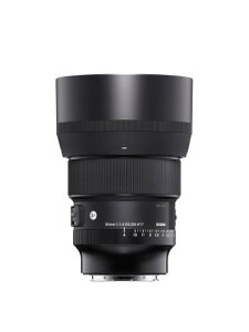 �V�O�}(Sigma) �����Y 85mm F1.4 DG DN Sony �\�j�[ E�}�E���g �P�œ_ �]�� �t���T�C�Y �~���[���X�p Art