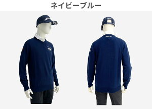 2024fyVlbNZ[^[ cA[f@uVNS-Ovz3F StEGA