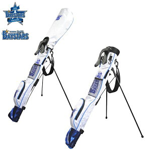 lDeNAxCX^[Y EhX^hobO St {Ki YBCC-3413 