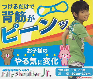 BODYg WjAp WF[V_[ pێp gg[jO BT-1631 StK