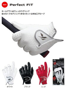 LXR St O[u p[tFNgtBbg SV VJbg̉H v Y jp p {Ki