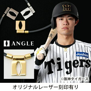 ANGLE AO ClbNX e.MODEL 01 NECKLACE Ë@   w sP   AE01N