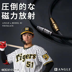 ANGLE AO ClbNX e.MODEL 02 NECKLACE VvfUC Ë@   w sP   AE02N