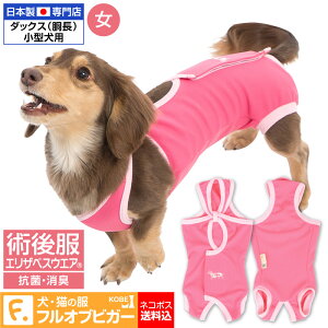 犬用 小型犬 健康管理用品 エリザベスカラーの人気商品 通販 価格比較 価格 Com