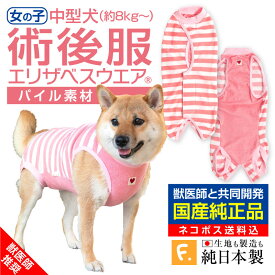 【送料込】犬用パイルボーダー術後服エリザベスウエア(R)(女の子 雌 メス/中型犬用)【日本製 国産 避妊 去勢 乳腺腫瘍 犬服 柴犬 ビーグル テリア コリー 介護服 術後着 術後 手術 メス】【エリザベスカラーの代わりになる】獣医師推奨 【犬猫の服 フルオブビガー】