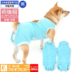 犬用 健康管理用品 中型犬 ペットの人気商品 通販 価格比較 価格 Com