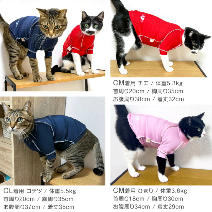 楽天市場】【送料込】【2021年夏新作】猫用抗菌・防臭機能付きスキンウエア(R)袖付きTシャツ(旧名エリザベスウエア/男女兼用/猫用/抗菌・防臭)【 ネコポス値2】【猫服 介護服 エリザベスカラー ガード スーツ】【犬猫の服 フルオブビガー】 : エリザベスウエア 楽天市場】【送料込】【2021年夏新作】猫用抗菌・防臭機能付きスキンウエア(R)袖付きTシャツ(旧名エリザベスウエア/男女兼用/猫用/抗菌・防臭)【 ネコポス値2】【猫服 介護服 エリザベスカラー ガード スーツ】【犬猫の服 フルオブビガー】 : エリザベスウエア