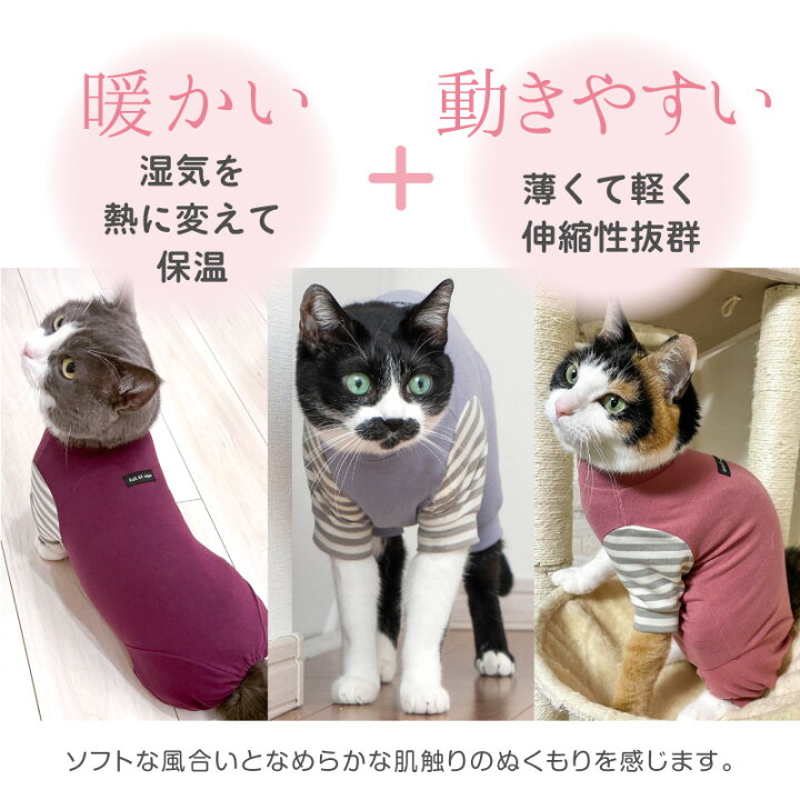 楽天市場】【送料込】猫 服 過剰グルーミング 高齢 シニア 舐め壊し 春 