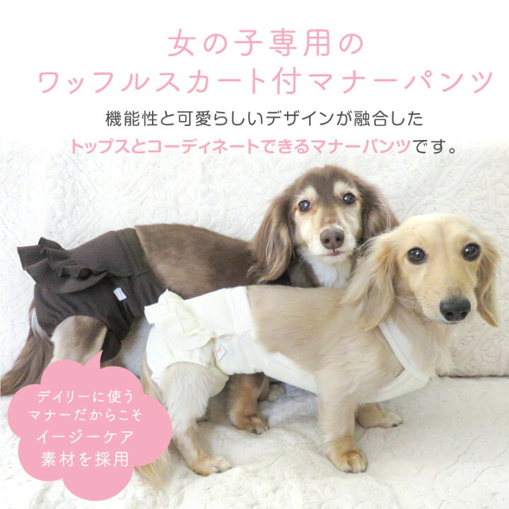楽天市場】$【送料込】ECOワッフルスカート付サニタリー介護服マナー 
