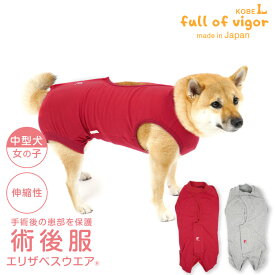 エリザベスカラー の代わりに 獣医師 去勢 避妊 手術 【送料込】 中型犬用 伸びて 着せやすい F. ベア天竺 術後服 エリザベスウエア(R) 女の子 伸縮性素材 中型犬 服 冬 秋 春 夏 伸びる素材 伸縮性 フィット感 術後着 介護服