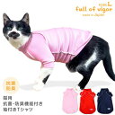 皮膚病 舐め対策 傷舐め かきむしり 皮膚炎 【送料込】 猫用 伸びて 着せやすい 抗菌 防臭 機能付き スキンウエア(R) 袖付き Tシャツ 猫 服 過剰グルーミング 高齢 シニア 舐め壊し 夏 春 秋 冬 抗菌 防臭 制菌性能 吸水性