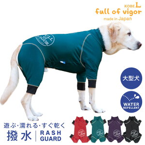 VJVJ Ȃ O΍ UV΍ AEghA yz ^p Lт ₷ hbOvC(R) T[N vg  bVK[h ^   t H ~ J CR