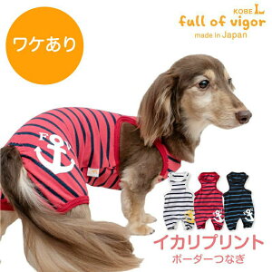 p[X ё΍ Ȃ yz P Lт ₷ CJ vg {[_[Ȃ _bNX ^p   ~ H t  Lтf Lk tBbg Jo[I[ I