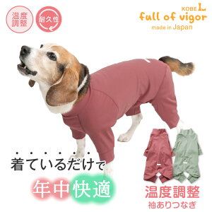 p[X ё΍  yz ^p AEgXg ɑ @\f ̉ x  Ȃ ^  ~ H t  ۉ x Jo[I[ I[C [