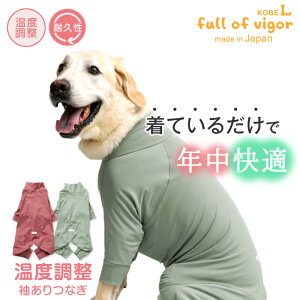 ё΍  p[Xyz ^p AEgXg ɑ @\f ̉ x  Ȃ ^   t H ~ ۉ x Jo[I[ I[C [