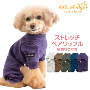 p[X ё΍  yz Xgb` xAbt  Ȃ _bNX ^p   ~ H t  _炩 Jo[I[ I[C [EGA  ` gC