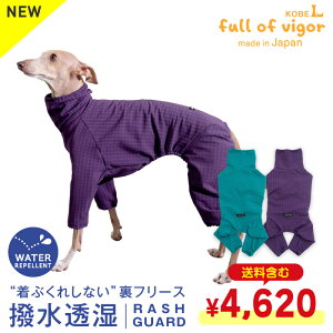 yyVX[p[SALEzVJVJ Ȃ O΍ UV΍ AEghA yz  ӂ C^Op hbOvC(R)   t[X bVK[h C^O 