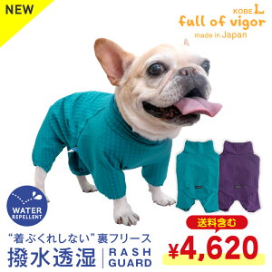 yyVX[p[SALEzVJVJ Ȃ O΍ UV΍ AEghA yz  ӂ tup hbOvC(R)   t[X bVK[h tu 