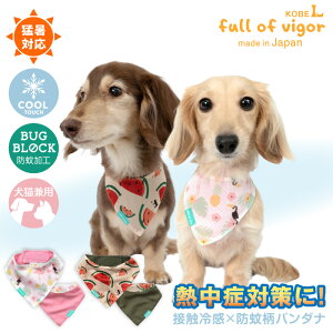  N[lbN SΉ yz ڐG⊴ h  o_i   t  ⊴ Ђ N[ ėp⊴ UVJbg U XJ[t VV   ^ ^ ^ ` 