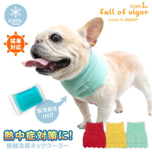  N[lbN p MǑ΍ ΍ yz Lт ₷ ڐG⊴ ۗ |Pbgt lbN N[[    t⊴ Ђ N[ ėp⊴ UVJbg U XJ[t 