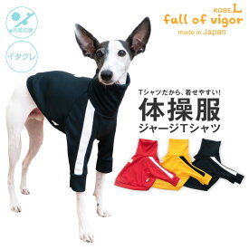 抜け毛対策 タンクトップ 【送料込】 イタグレ用 ドッグプレイ(R) 体操服 ジャージ Tシャツ 体温調整 温度調整 イタグレ 服 夏 春 秋 冬抗菌 防臭 UVカット 紫外線対策 速乾性 遊び着 スポーツ犬の服 猫の服 袖なし イタリアングレーハウンド