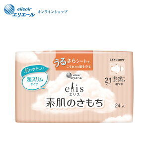 GX f̂Xi`ӂ̓pjH 21cm 24yGG[z