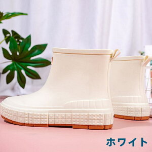 CV[Y fB[X Cu[c Ȃ h\[ C V[gu[c JC JWA yA ʋ ₷ ɂ Lv AEghA