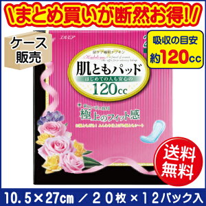 GA Ƃ Ƃpbh ͂߂Ă̐lS120cc 20 (12pbN) APApi pbhTCY:10.5×27cm ڈzʖ120cc APApivL yփpbh