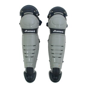 TNCf ʓp FLb`[K[X 싅E\tg{[ PROMARK RGT-65SVNV