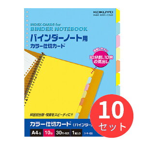 y10ZbgzRN J[d؃J[hoC_[m[gpA4c305F10R VL-58Ny܂Ƃߔz