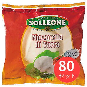 y80Zbgz\EI[l bc@E@bJ I.Q.F. 1861019 Ⓚi y܂Ƃߔz