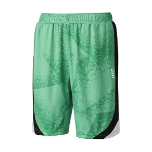 S[Z n[tpc jZbNX jp {\tgejXAF PP2400-48  GOSEN