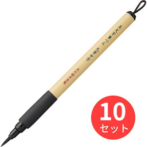 y10{Zbgz| M؂ ѕM (XT5-10S)y܂Ƃߔz