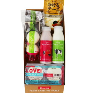  q BOCCA vO@v`ZbgkC Ղ v BOCCA {bJ q َq XC[c Zbg l j j ii Ɨp a