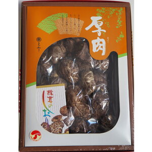 BY@Mtg@180g@K-50