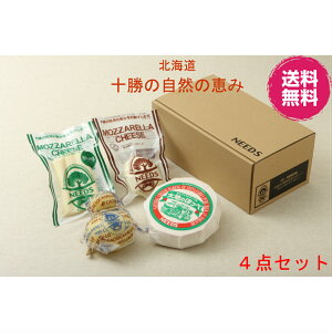 @hV̓ `[Y@MtgkC `[YH[ NEEDS \̎Řb4_Zbg