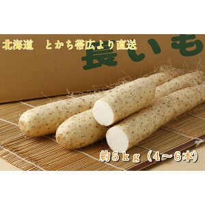 kCuƂэLYv@5kgi4`6{j C  Mtg 蕨 v[g O lC Hi O kC  񂹃O