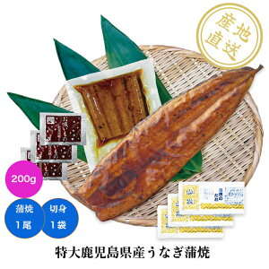 厭YȂ@1Eؐg1܁iERjtEz Yn Y Y  Ȃ