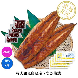 厭YȂ@2iERjEzt Yn Y