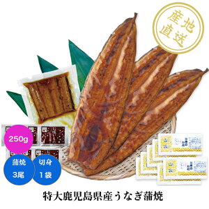 厭YȂ@3Eؐg1܁iERjEzt Yn Y