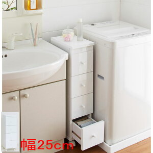 XS25cm i Ԏ[ `FXg CeAƋ Vv_ @\fXN bN AWAƋ AWAG AWAN[[bg 蒤Ƌ ^ o ][g `F